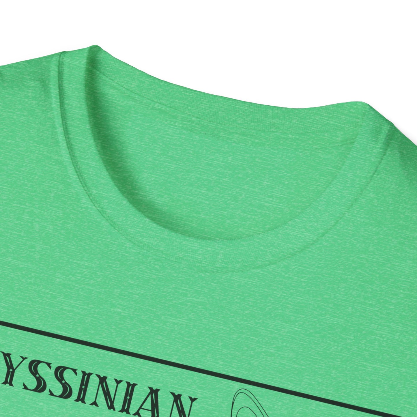 Abyssinian Stats T-Shirt