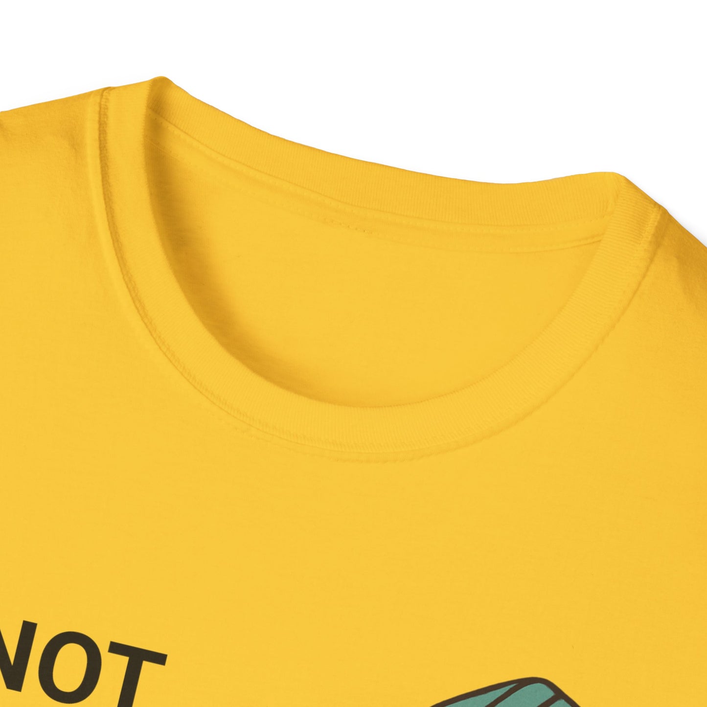 Do Not Disturb, I Am Reading T-Shirt