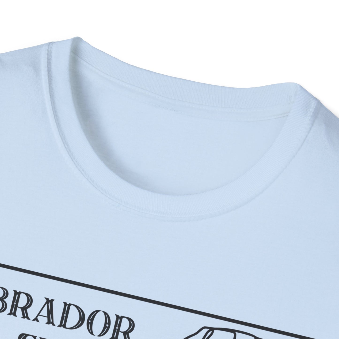 Labrador Stats T-Shirt